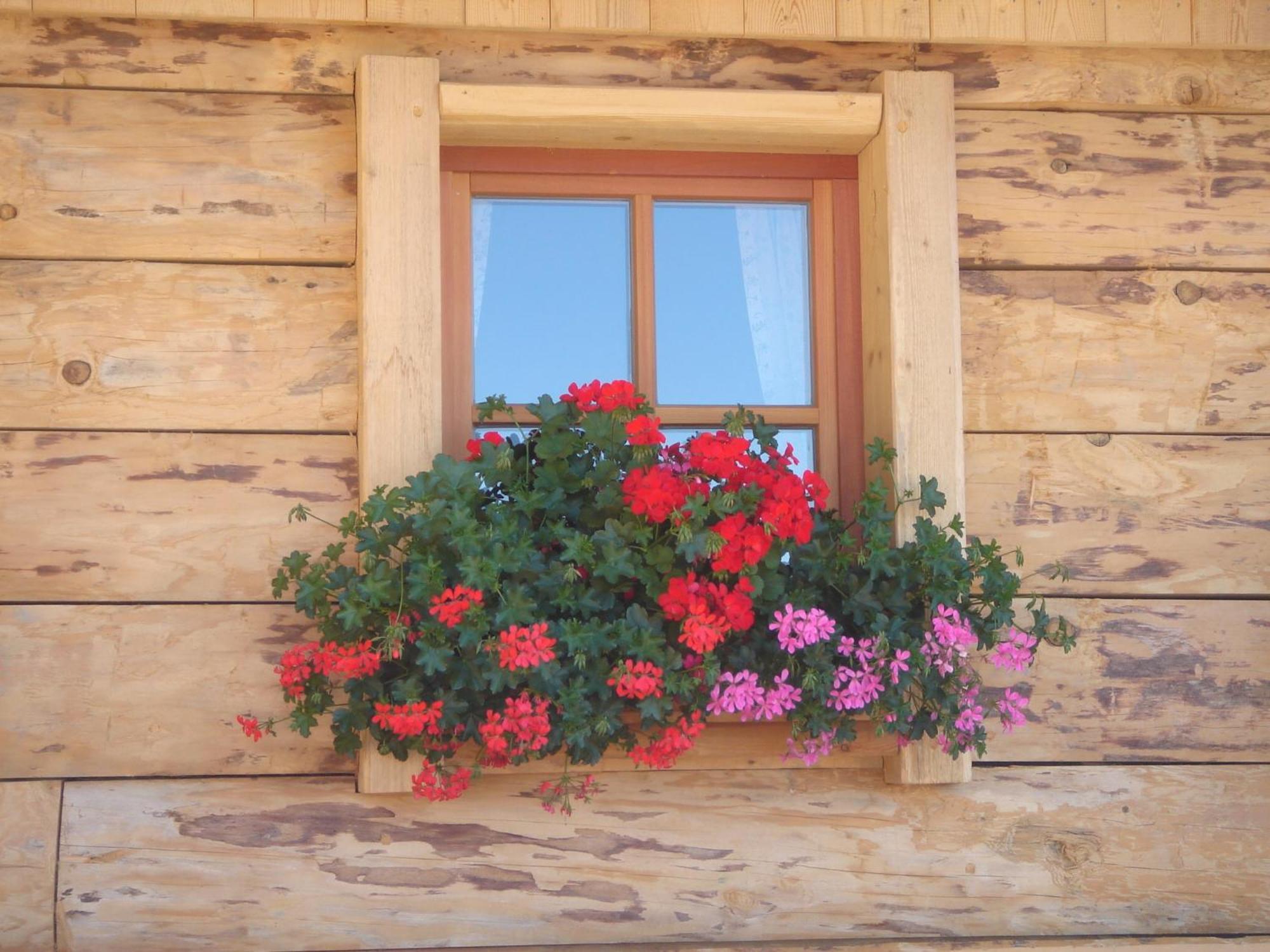 Haus Sonnleitn Hotel Sankt Johann im Pongau Bagian luar foto